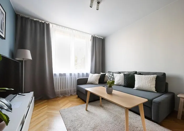 Nowogrodzka Grey Apartment